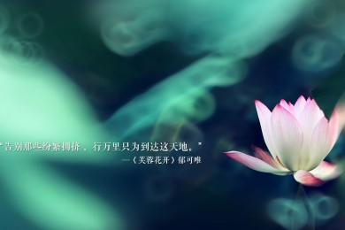 N-showPVC故事機品牌排行榜-早教啟智哪家品牌好